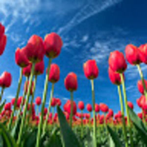 Meet your Posher, Marisol